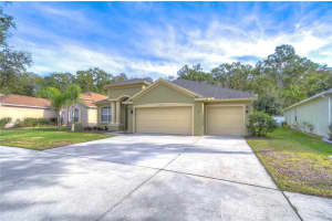 10528 DEERBERRY DRIVE, LAND O LAKES, FL 34638 Sold 01/29/24