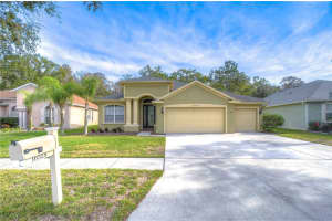 10528 DEERBERRY DRIVE, LAND O LAKES, FL 34638 Sold 01/29/24