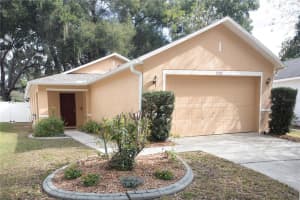 11910 MANGO GROVES BOULEVARD, SEFFNER, FL 33584 Sold 01/16/24