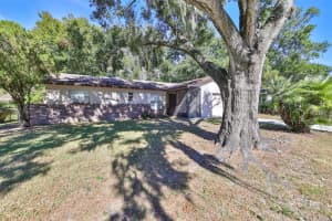 507 ROBIN HILL CIRCLE, BRANDON, FL 33510 Sold 02/28/24