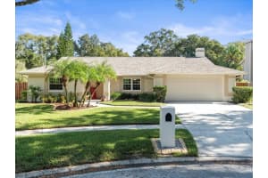 16917 CEDAR BLUFF DRIVE, TAMPA, FL 33618 Sold 02/15/24