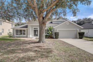 10250 DOVEHILL LANE, CLERMONT, FL 34711 Sold 03/01/24