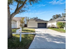 10312 LAKESIDE VISTA DR, RIVERVIEW, FL 33569 Sold 02/02/24