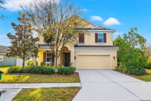 6338 HAWK GROVE COURT, WESLEY CHAPEL, FL 33545 Sold 02/12/24