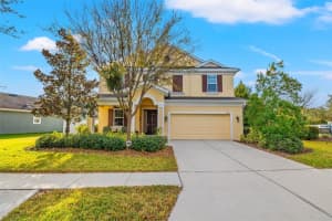 6338 HAWK GROVE COURT, WESLEY CHAPEL, FL 33545 Sold 02/12/24