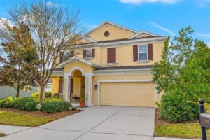6338 HAWK GROVE COURT, WESLEY CHAPEL, FL 33545 Sold 02/12/24