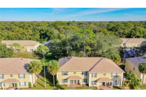 5114 SUNRIDGE PALMS DRIVE, TAMPA, FL 33617 Sold 12/28/23
