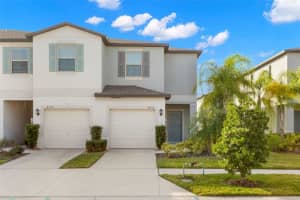 4532 GLOBE THISTLE DRIVE, TAMPA, FL 33619 Sold 08/02/24