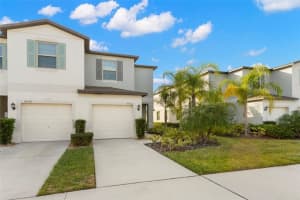 4532 GLOBE THISTLE DRIVE, TAMPA, FL 33619 Sold 08/02/24