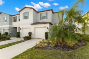 4532 GLOBE THISTLE DRIVE, TAMPA, FL 33619 Sold 08/02/24