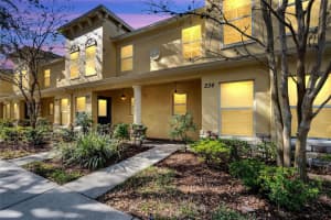 234 PENMARK STONE PLACE, VALRICO, FL 33594 Sold 01/26/24