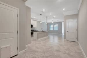 18705 NOBLE CASPIAN DRIVE, LUTZ, FL 33558 Sold 03/28/24