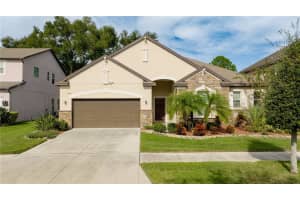 11348 AMERICAN HOLLY DRIVE, RIVERVIEW, FL 33578 Sold 05/01/24