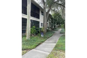 6010 Laketree Ln #l, TEMPLE TERRACE