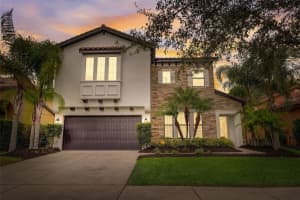 8256 DUNHAM STATION DRIVE, TAMPA, FL 33647 Sold 06/24/24