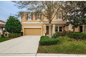 6343 HAWK GROVE COURT, WESLEY CHAPEL, FL 33545 Sold 03/13/24