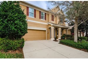 6343 HAWK GROVE COURT, WESLEY CHAPEL, FL 33545 Sold 03/13/24