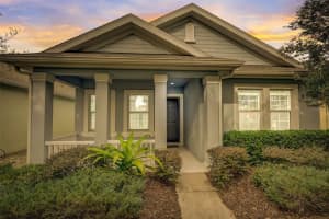 406 WINTERSIDE DRIVE, APOLLO BEACH, FL 33572 Sold 05/01/25