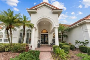 10003 TREE TOPS LAKE ROAD, TAMPA, FL 33626 Sold 02/29/24