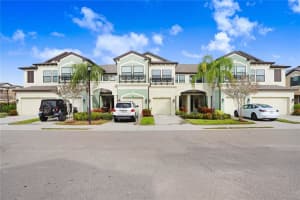 9121 CAROLINA WREN DRIVE, TAMPA, FL 33626 Sold 03/08/24