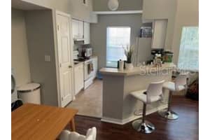 9378 LAKE CHASE ISLAND WAY, TAMPA, FL 33626 Sold 07/08/24