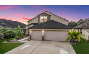 6721 BOULDER RUN LOOP, WESLEY CHAPEL, FL 33545 Sold 06/25/24