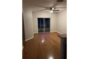 509 SWEET HOLLOW PLACE, BRANDON, FL 33510 Sold 04/16/24