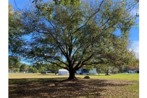 30814 JACANA DRIVE, WESLEY CHAPEL, FL 33545 Sold 01/19/24