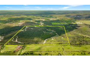 37381 COOK BROWN ROAD, FORT MYERS, FL 33917 - MLS#MFRT3494627