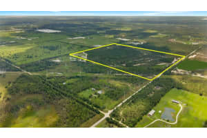 37381 COOK BROWN ROAD, FORT MYERS, FL 33917 - MLS#MFRT3494627