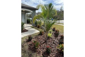 5020 SABLE CHIME DRIVE, WIMAUMA, FL 33598 Sold 03/15/24