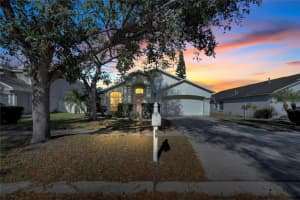 3318 PINE TOP DRIVE, VALRICO, FL 33594 Sold 04/16/24