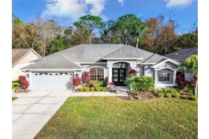4836 BALSAM DRIVE, LAND O LAKES, FL 34639 Sold 02/16/24