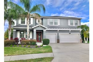 146 STAR SHELL DRIVE, APOLLO BEACH, FL 33572 Sold 02/22/24