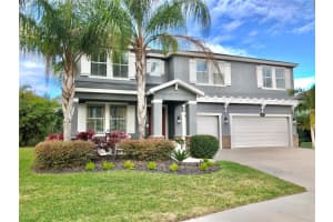 146 STAR SHELL DRIVE, APOLLO BEACH, FL 33572 Sold 02/22/24