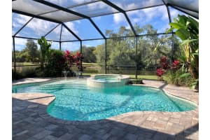 146 STAR SHELL DRIVE, APOLLO BEACH, FL 33572 Sold 02/22/24