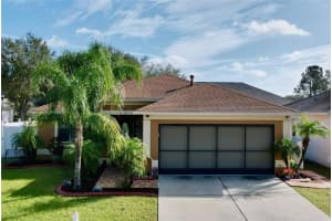 3102 PINE TOP DRIVE, VALRICO, FL 33594 Sold 03/15/24