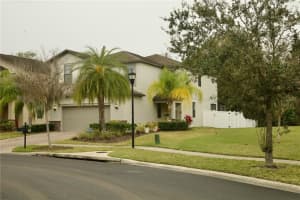 20050 DATE PALM WAY, TAMPA, FL 33647 Sold 04/15/24