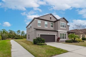 11832 CROSS VINE DRIVE, RIVERVIEW, FL 33579 Sold 11/26/24
