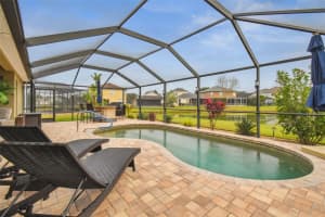 30250 HATZ WAY, WESLEY CHAPEL, FL 33543 Sold 05/15/24