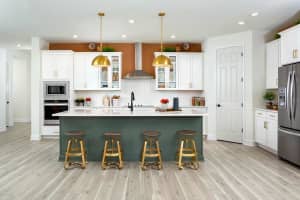 32437 CARMELA CIRCLE, SAN ANTONIO, FL 33576 Sold 03/03/25