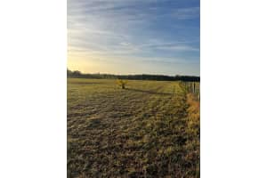 COUNTY ROAD 672, LITHIA, FL 33547 Sold 01/03/25