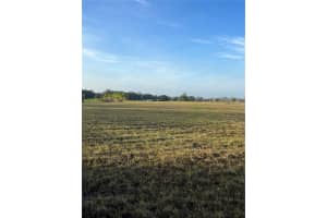 COUNTY ROAD 672, LITHIA, FL 33547 Sold 01/03/25