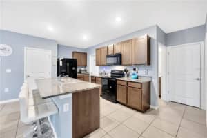 16105 TUSCANY HILLSIDE ROAD, ODESSA, FL 33556 Sold 09/30/24