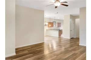 2135 ROANOKE SPRINGS DRIVE, RUSKIN, FL 33570 Sold 03/27/24
