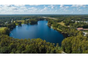 105 BELLAMERE PALMS COURT, LUTZ, FL 33549 - MLS#MFRT3496886