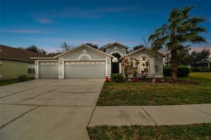 6919 PINE SPRINGS DRIVE, WESLEY CHAPEL, FL 33545 Sold 02/29/24
