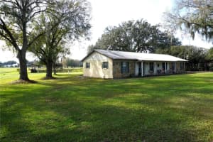 2407 MEDULLA ROAD, PLANT CITY, FL 33566 - MLS#MFRT3497335