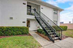 3804 OAK DRIVE, TAMPA, FL 33611 Sold 02/29/24