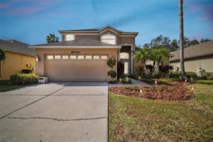 19306 SEACOVE DRIVE, LUTZ, FL 33558 Sold 02/13/24